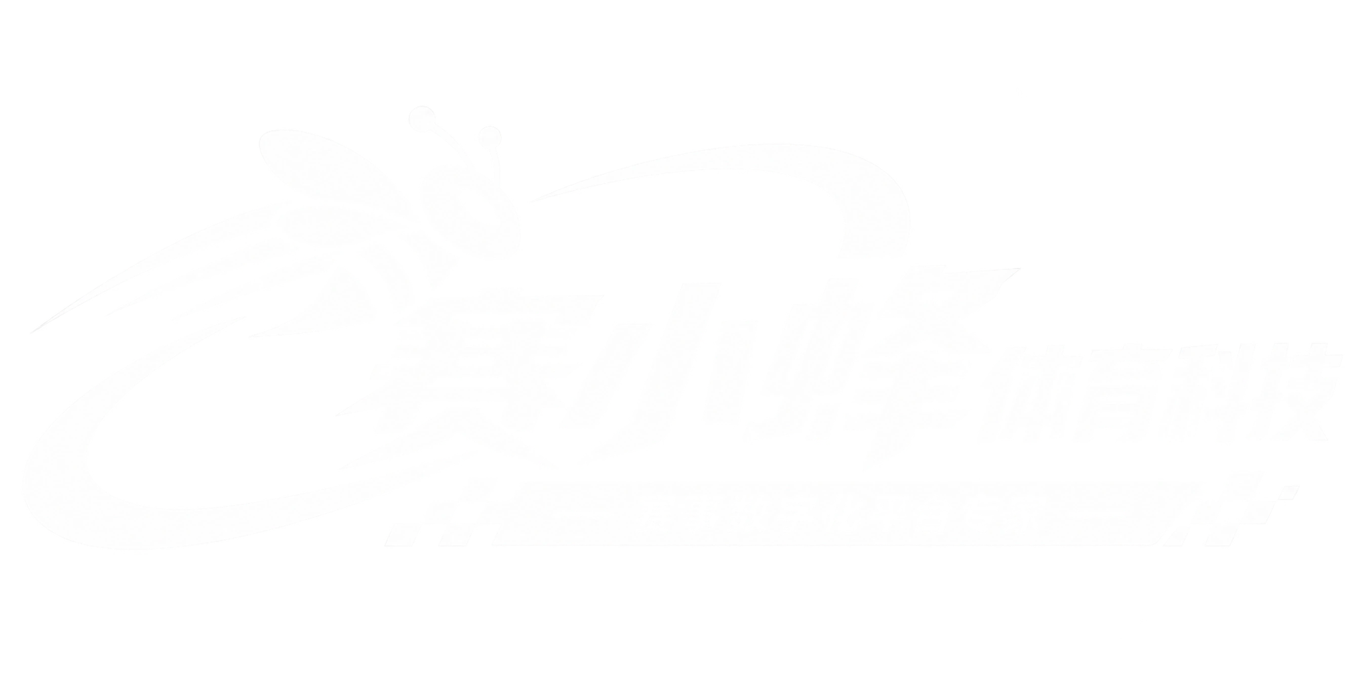 赛小蜂体育科技｜赛事数字化平台专家